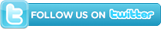 Twitter Badge